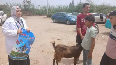 قافلة بيطرية مجانية لعلاج المواشي والدواجن بصان الحجر بالشرقية