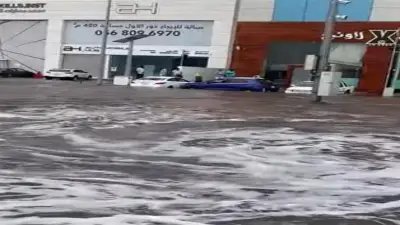 انخفاض الحرارة وشبورة كثيفة وأمطار خفيفة غدا الثلاثاء