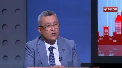 رئيس لجنة الطاقة بالشيوخ: مصر أثبتت قوة اقتصادها وصمدت أمام التحديات