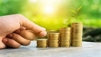 دار الإفتاء توضح حكم إخراج زكاة المال للأقارب والضوابط الشرعية