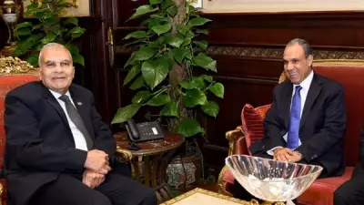 وزير الخارجية يبحث مع رئيس مجلس الشيوخ تعزيز الدبلوماسية البرلمانية
