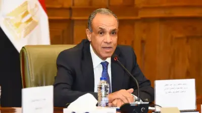 وزير الخارجية يلتقي لجنة العلاقات الخارجية بمجلس الشيوخ لبحث التحديات الإقليمية