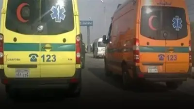 أسماء ضحايا ومصابي حادث اصطدام ميكروباص بعمود إنارة في الفيوم