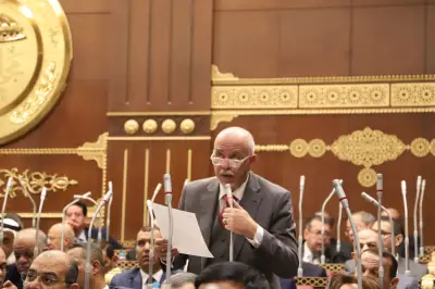 حازم الجندي: تضامن مصر مع أشقائها يؤكد وحدة المصير والدم