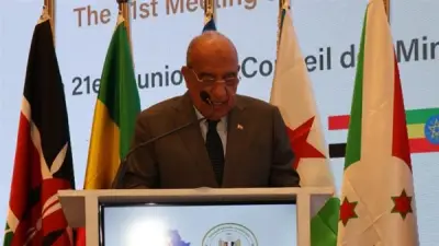 تعيين محمد سالم عضواً متفرغاً للشؤون المالية بالقابضة للكهرباء