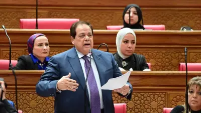 أبو العينين يدعو لثورة تشريعية تحفيزية لتحسين بيئة الاستثمار وخفض عجز الموازنة
