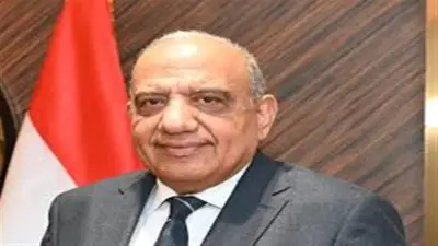 تعيين محمد سالم عضوا متفرغا للشؤون المالية والتجارية بالشركة القابضة للكهرباء