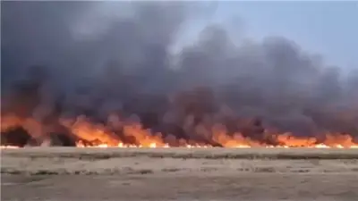 حريق ضخم يندلع في مستنقعات ميقان بمدينة أراك وسط إيران
