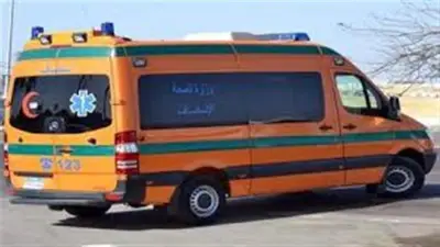 إصابة طفل بجرح قطعي في اليد بعد عقر كلب ضال في كرداسة
