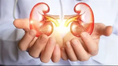 استشاري: ارتفاع الكوليسترول يهدد صحة الكلى ويؤدي لتدهور وظائفها