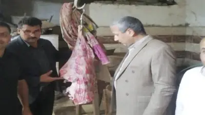 ضبط نصف طن لحوم فاسدة في حملة تفتيشية بتلا بالمنوفية