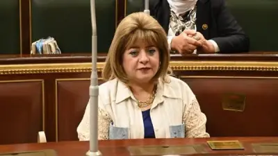 تحرك برلماني لمواجهة جشع المنصات وضبط فوضى التسعير الإلكتروني