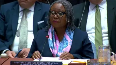 الأمم المتحدة: السودان وجنوب السودان يستعدان لأول مباحثات حدودية منذ سنوات
