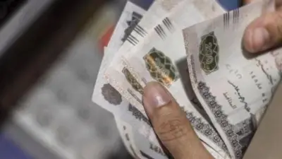 المعاش المبكر في قانون التأمينات الجديد: ضوابط وشروط الاستحقاق