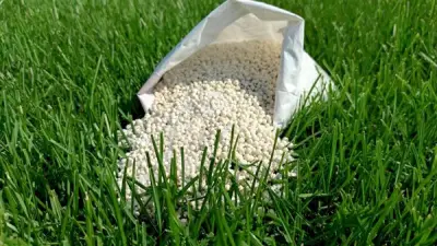 انخفاض أسعار الأسمدة اليوم في الأسواق باستثناء سلفات النشادر المخصوص