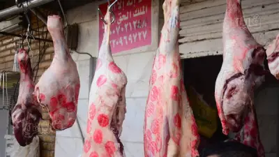دليلك لشراء لحمة عيد الأضحى: الأسعار وأفضل وقت ونصائح الجزارين