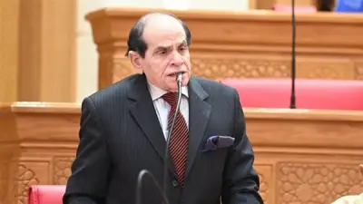 أستاذ قانون يكشف حقيقة دعاوى صحة العضوية بعد واقعة النائب خالد مشهور