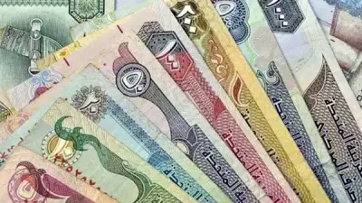 استقرار سعر الدرهم الإماراتي أمام الجنيه في البنوك المصرية اليوم السبت
