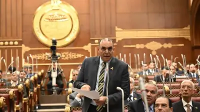 برلماني: زيارة ماكرون للإسكندرية تعكس عمق الشراكة الاستراتيجية بين مصر وفرنسا