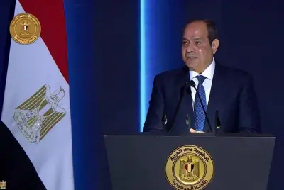 الرئيس السيسي يشيد بجهود فرنسا في تدريب الكوادر الأفريقية