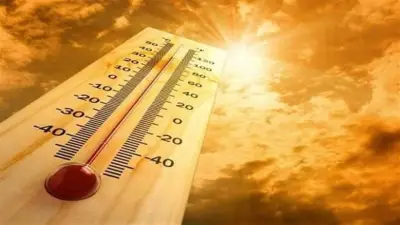 مصر تدخل الصيف المناخي.. رئيس مركز المناخ الزراعي يكشف تفاصيل طقس المرحلة الحالية