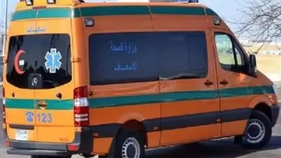 إصابة ثلاثيني بطعنات في مشاجرة بقرية نشا بالدقهلية