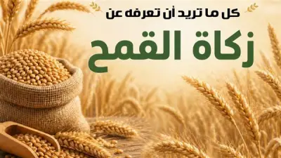 مركز الأزهر للفتوى يوضح أحكام زكاة القمح في موسم الحصاد