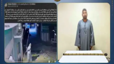القبض على متهم بتحطيم كاميرات جاره في المنيا لانتهاك خصوصيته