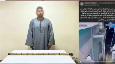 الأمن يكشف تفاصيل تحطيم كاميرات مراقبة منزل في المنيا