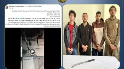 إصابة بالوجه في مشاجرة بالبحيرة.. الداخلية تكشف كذب المنشور