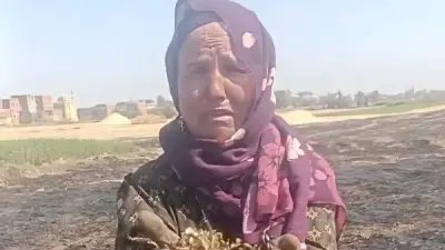 حريق يلتهم محصول القمح في النعامنة.. خسائر فادحة وشبهة جنائية