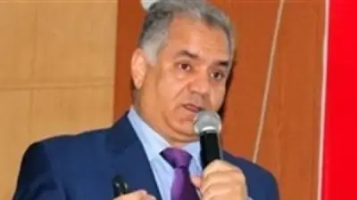 الدماطي: القبة السماوية قد تدخل في عودة الآثار من فرنسا