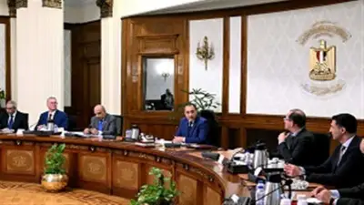 مدبولي يوجه بإعداد التصور النهائي لمبادرة الطاقة المتجددة بالمصانع
