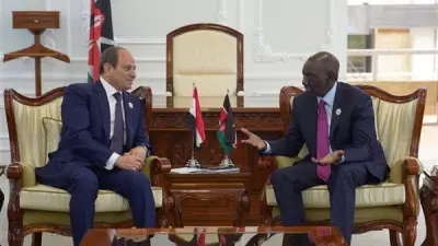 السيسي يدعو لاستثمار موارد الدول في التنمية بدلاً من النزاعات