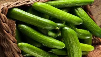 فوائد الخيار والنعناع في تهدئة الجسم صيفاً