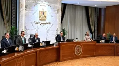 الحكومة توافق على إنشاء صندوق تكافلي لدعم الأسرة المصرية