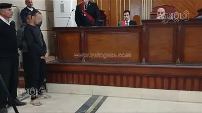 إحالة أوراق متهم اعتدى على طفلة وحاول فقء عينيها بالشرقية للمفتي