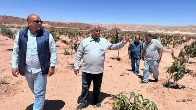 الزراعة تواصل دعم مزارعي التجمعات التنموية بوسط سيناء ضمن جهود بحوث الصحراء