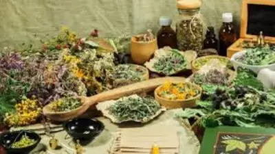 بسمة وهبة تحذر من خطورة التعامل مع العطارين دون إشراف طبي
