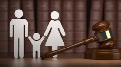 محام: حل قضايا الأسرة لا يتجاوز سنة والمشكلة في تنفيذ الأحكام