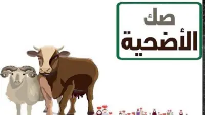 كيفية تقسيط صكوك الأضاحي من وزارة الأوقاف.. اعرف آخر موعد