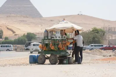 نصائح عاجلة من الأرصاد للوقاية من ارتفاع درجات الحرارة اليوم