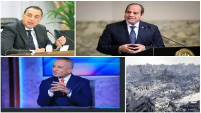 الخدمات البيطرية: نرفض إطعام الكلاب الضالة عشوائياً أو إيذائها بطرق غير إنسانية