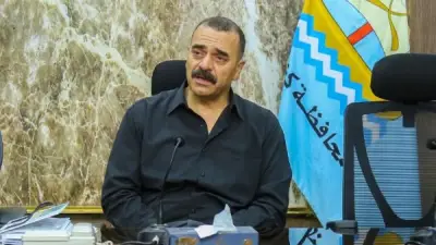 كفر الشيخ تنشئ شلاتر إيواء للكلاب الحرة لمواجهة الظاهرة