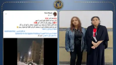 مشاجرة نسائية بسبب إطعام الكلاب في أكتوبر والعقوبات المنتظرة
