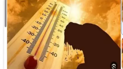 أجهزة منزلية تجنب استخدامها بكثرة في الموجة الحارة لتوفير الكهرباء