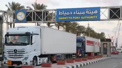 نشاط ملحوظ في حركة الترانزيت عبر خط الرورو بميناء دمياط نحو الخليج