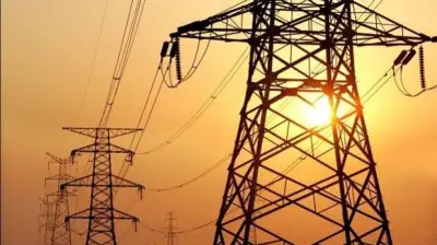 فصل الكهرباء عن قرية العلامية وتوابعها في كفر الشيخ غداً السبت