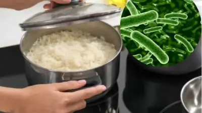 احذر خطأ شائعا.. إعادة تسخين الأرز تسبب التسمم الغذائي