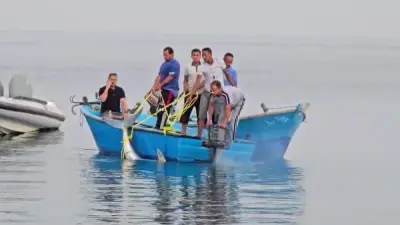 ظهور قرش الماكو على شواطئ القصير يثير الجدل ويثري البيئة البحرية